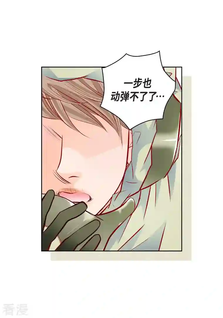 献给心脏番外17 MEMORIES17