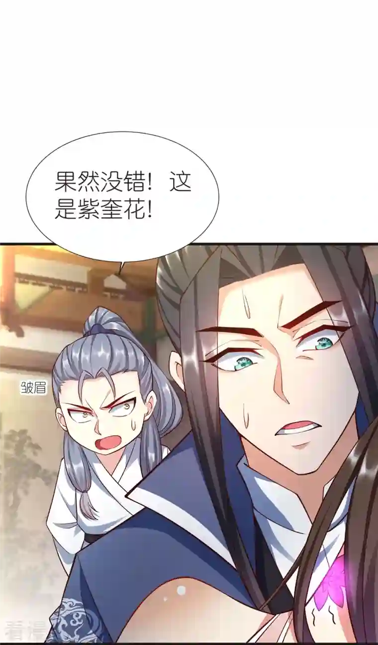 荒天至尊第107话 紫奎花