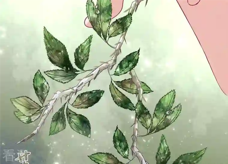 最豪赘婿 龙王殿第232话 关心则乱