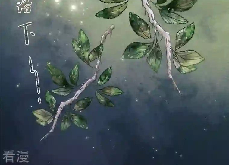 最豪赘婿 龙王殿第232话 关心则乱