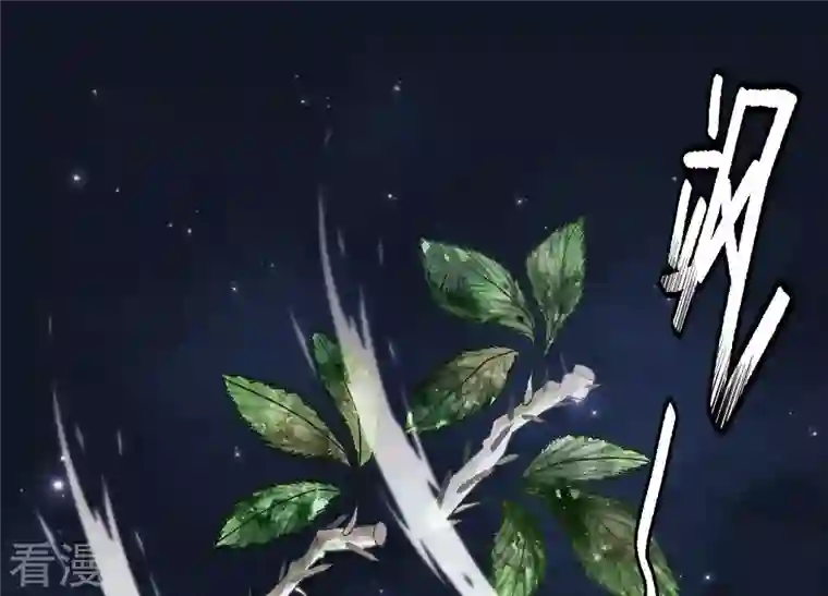 最豪赘婿 龙王殿第232话 关心则乱