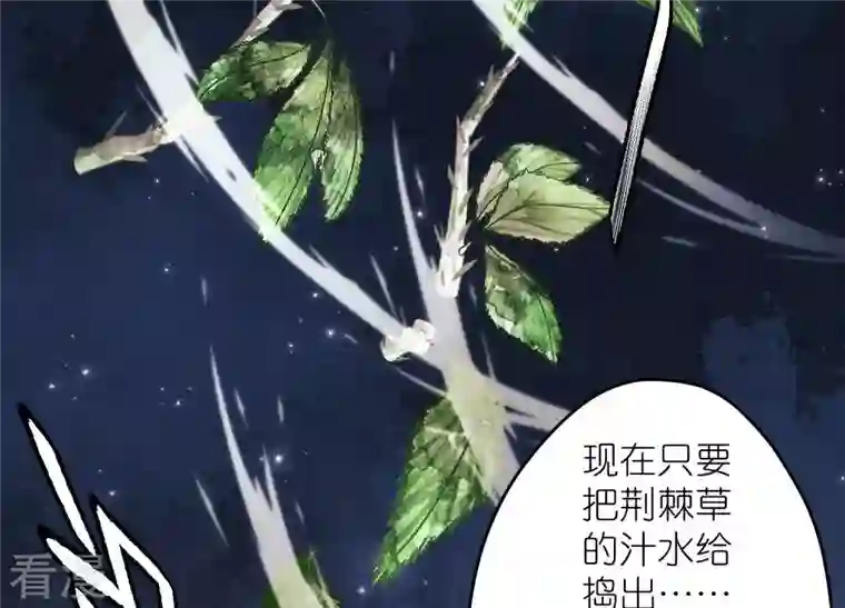 最豪赘婿 龙王殿第232话 关心则乱