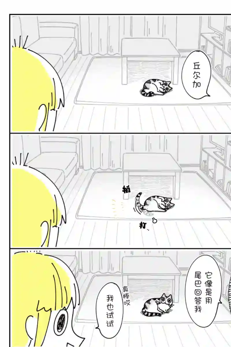 关于养猫我一直是新手第118话