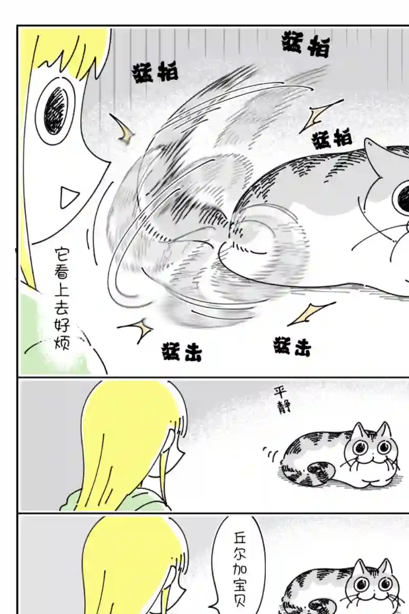 关于养猫我一直是新手第118话