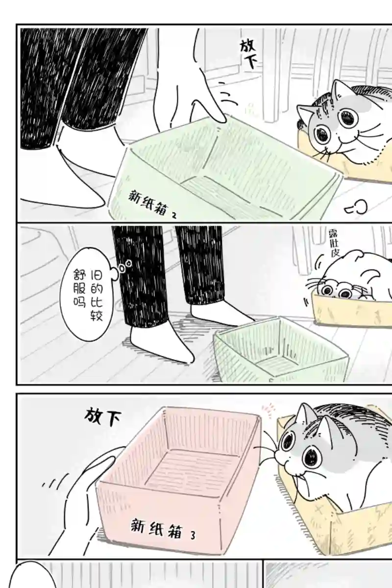 关于养猫我一直是新手第119话