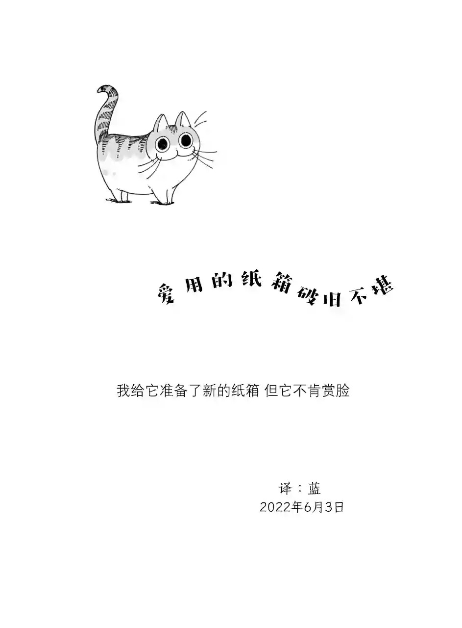 关于养猫我一直是新手第119话