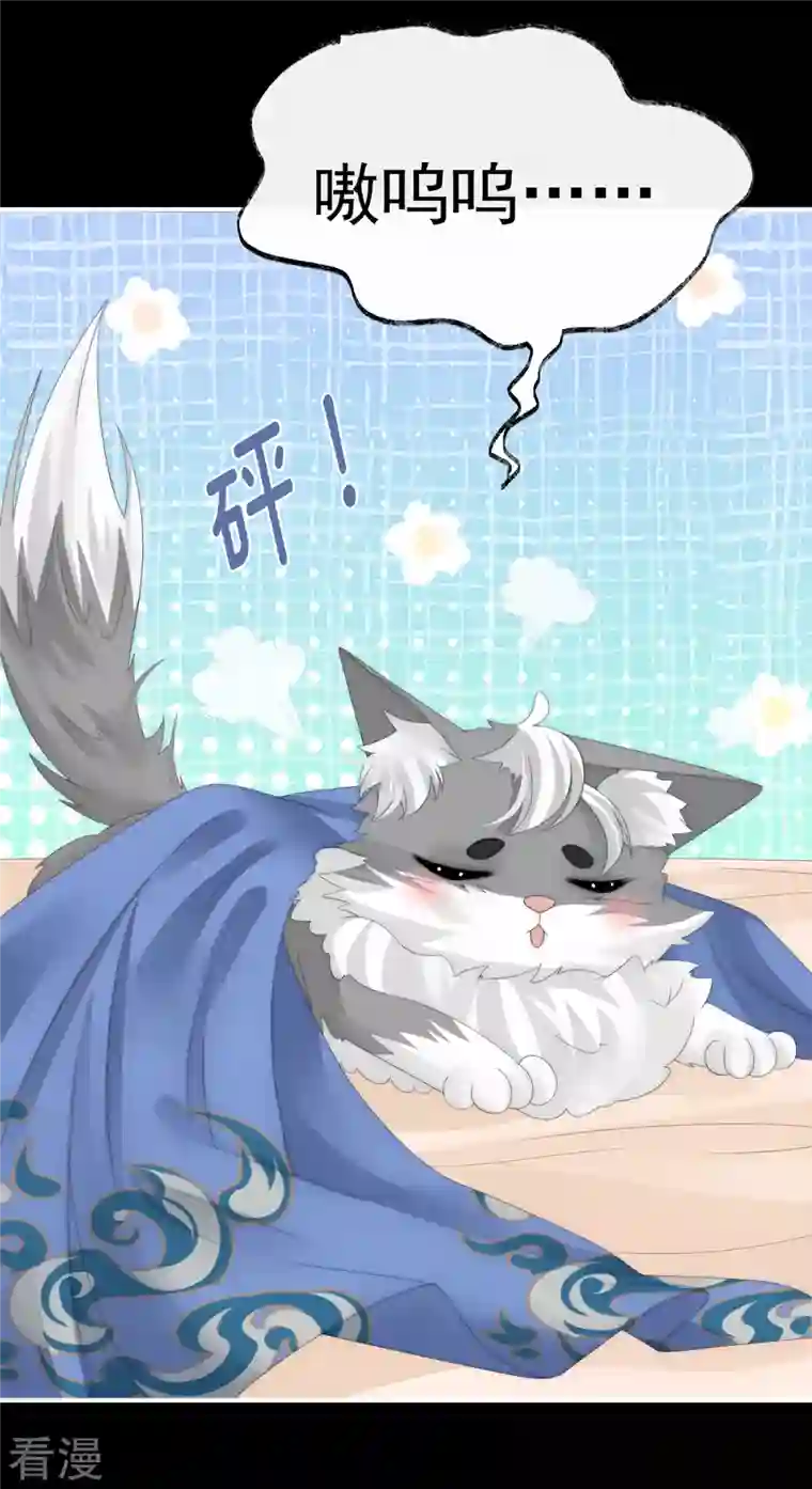 妻主，请享用第46话 帮你变成人