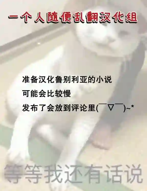 鲁别利亚王国物语~我陷入了被迫给表哥善后的境地~第14话