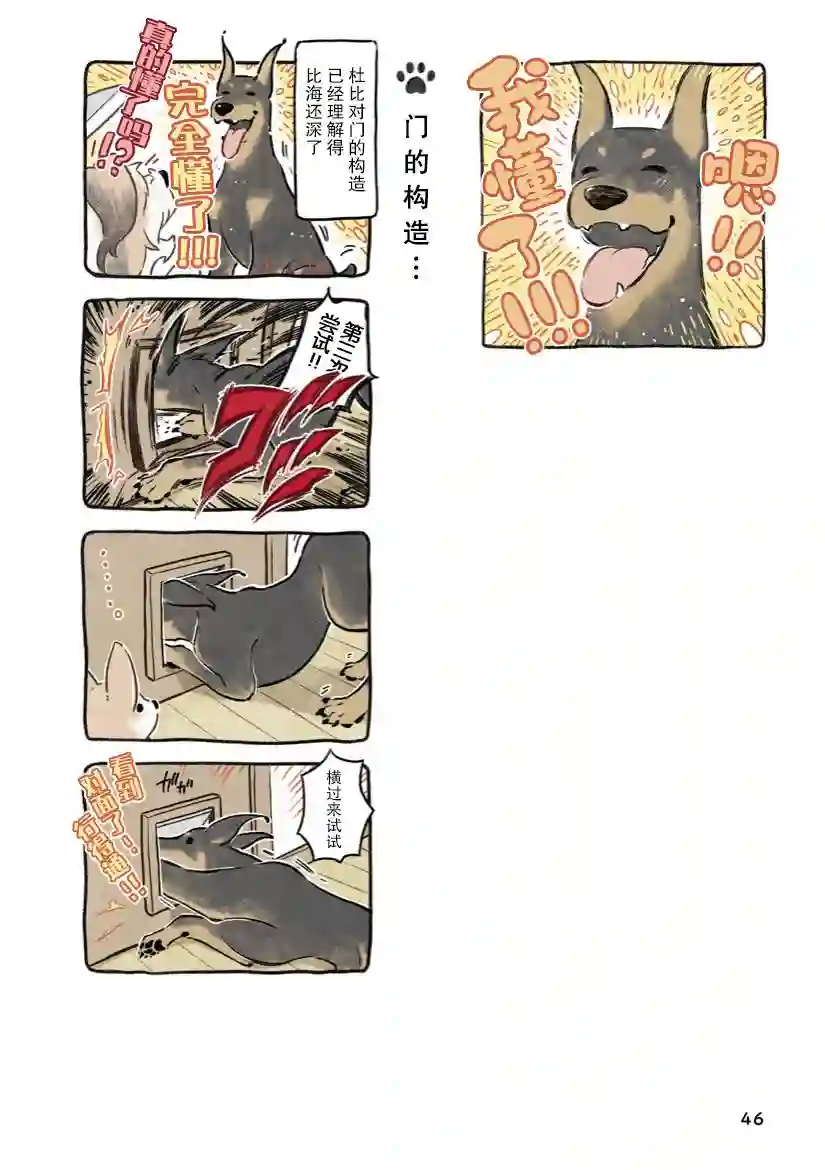 杜比与诺拉 狗狗赐予我的温柔世界第04话