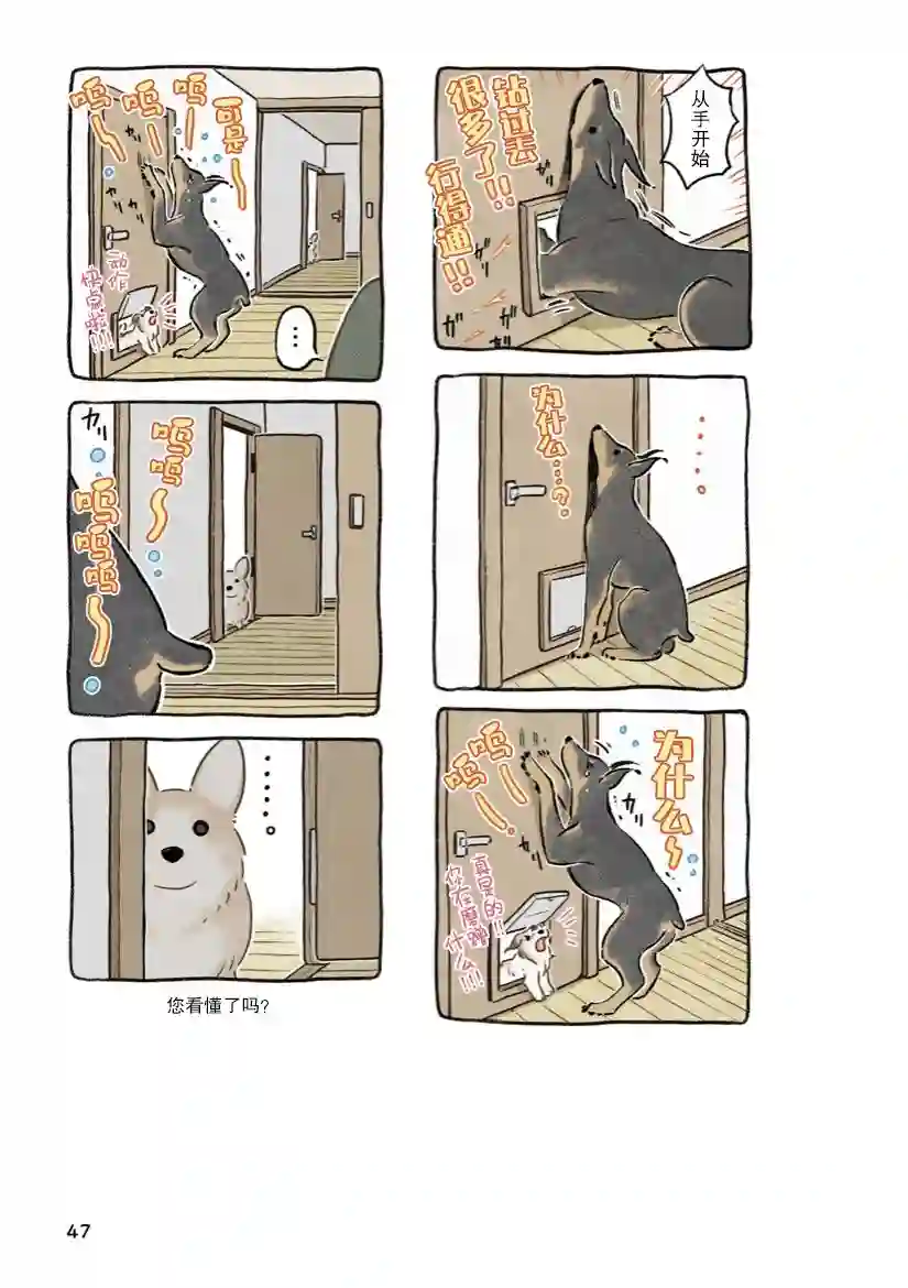 杜比与诺拉 狗狗赐予我的温柔世界第04话