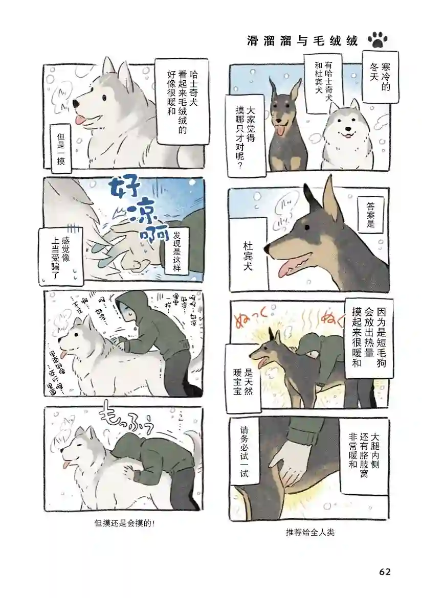 杜比与诺拉 狗狗赐予我的温柔世界第05话