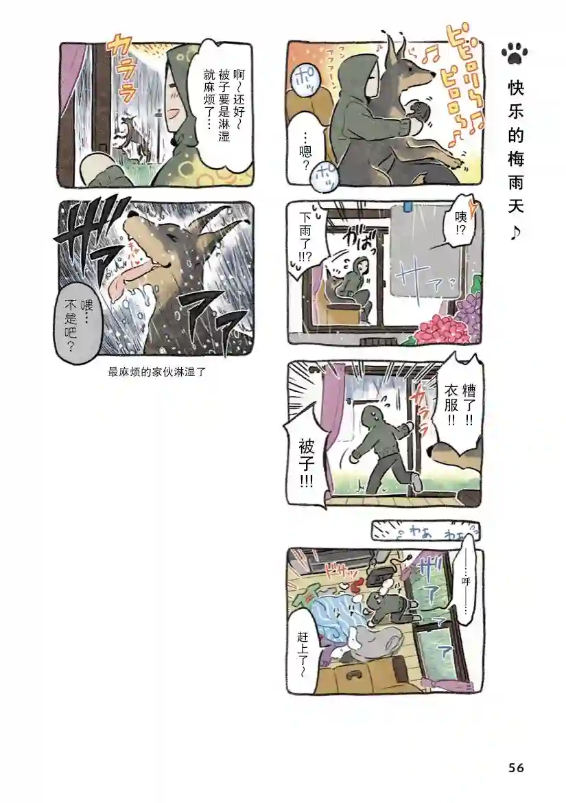 杜比与诺拉 狗狗赐予我的温柔世界第05话