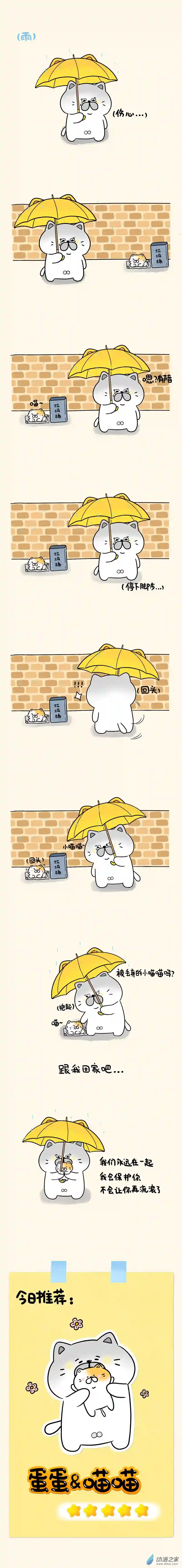 蛋蛋和喵喵01 蛋蛋和喵喵