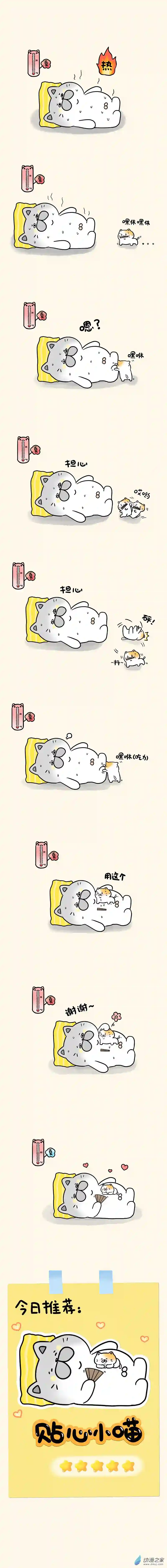 蛋蛋和喵喵02 贴心小猫