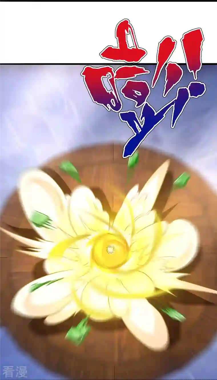一等家丁第317话 玉盒解封