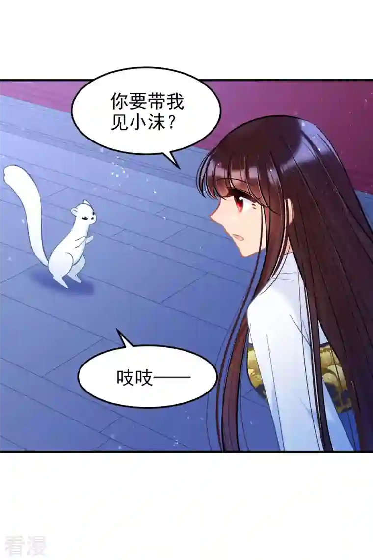 我家陛下总想祸国最终话 是走是留？
