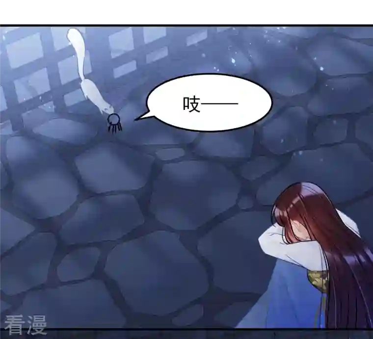 我家陛下总想祸国最终话 是走是留？