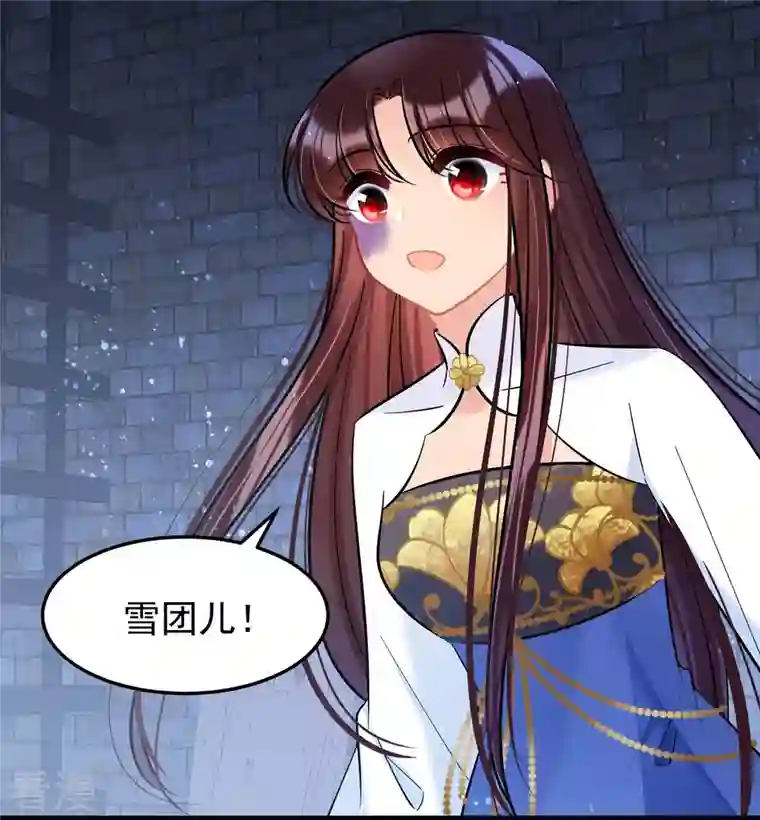 我家陛下总想祸国最终话 是走是留？