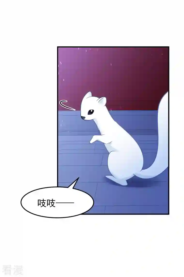 我家陛下总想祸国最终话 是走是留？