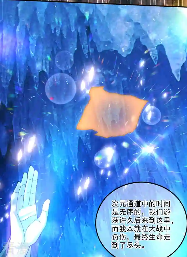 最强神医混都市第290话 星纹白熊一族