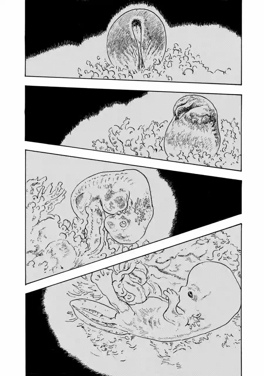Designs第23话