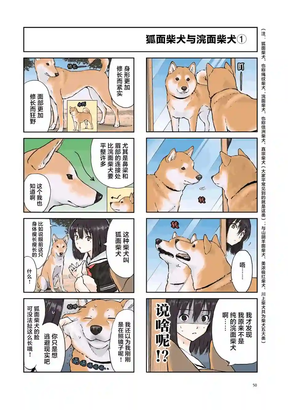 世界末日柴犬为伴第22话