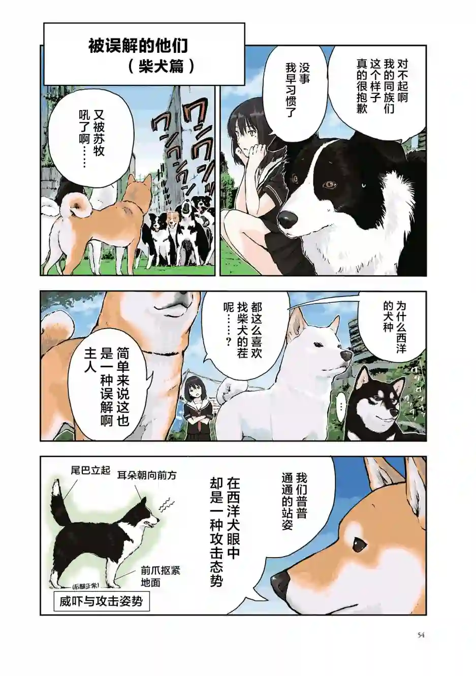 世界末日柴犬为伴第22话