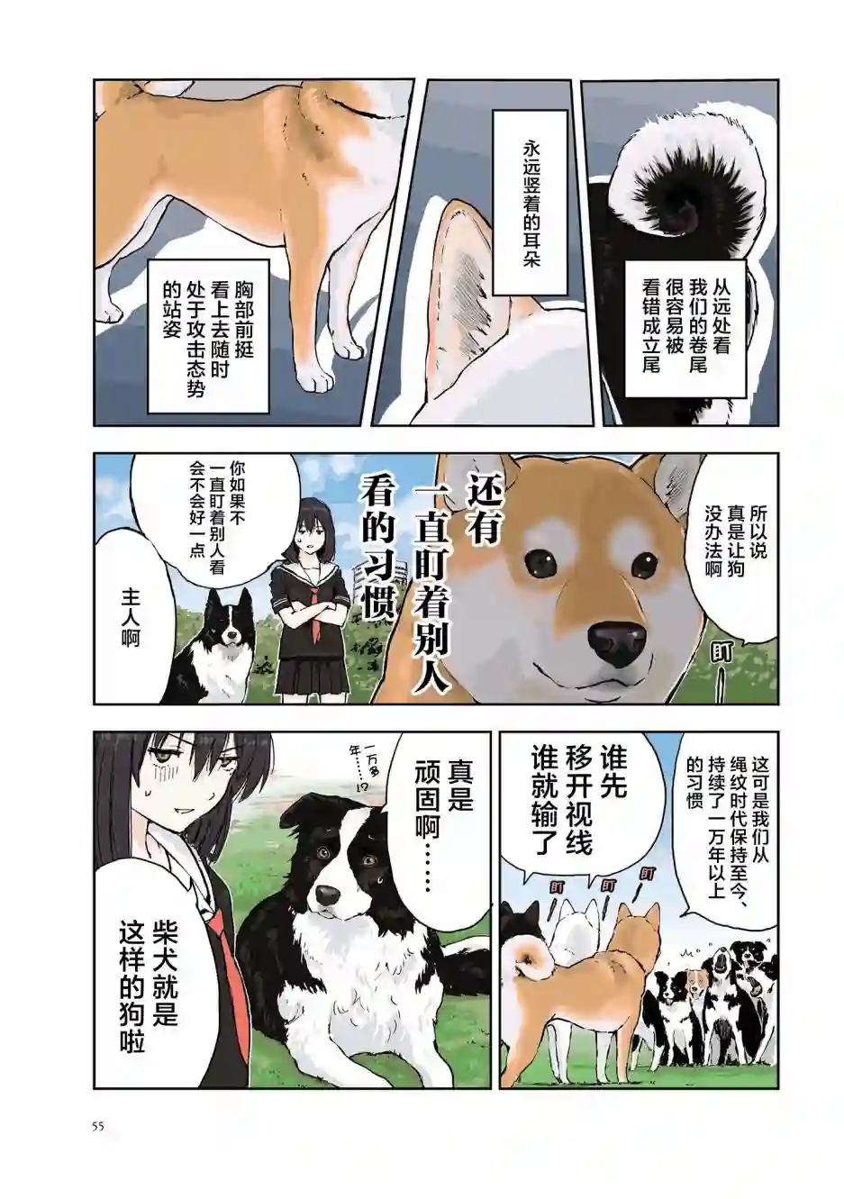 世界末日柴犬为伴第22话