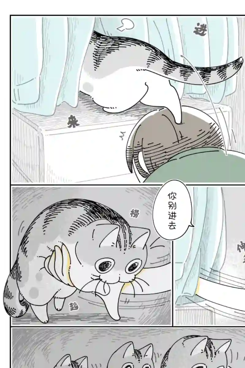 关于养猫我一直是新手第120话