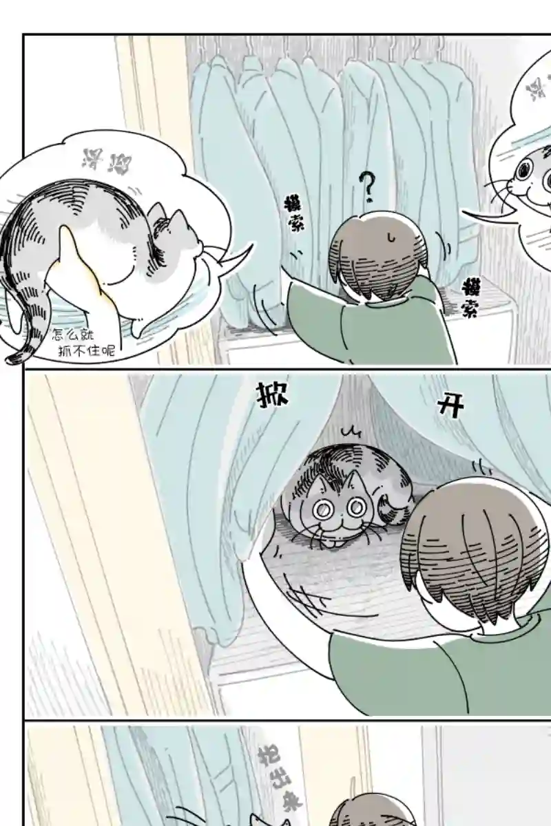 关于养猫我一直是新手第120话