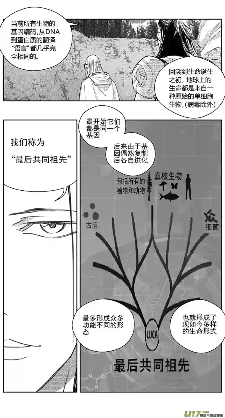 雏蜂404：第四部26 刚对柔 其五