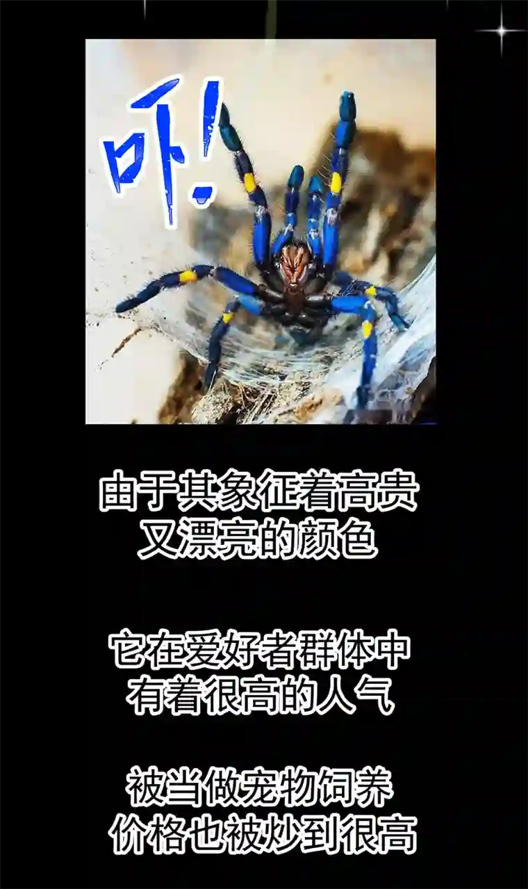 夜之万魔殿第6话 友谊的证明
