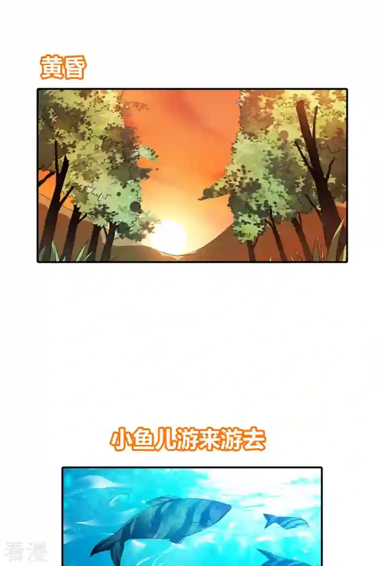 我才不要拒绝陆先生最终话