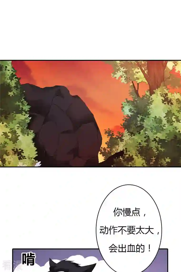 我才不要拒绝陆先生最终话