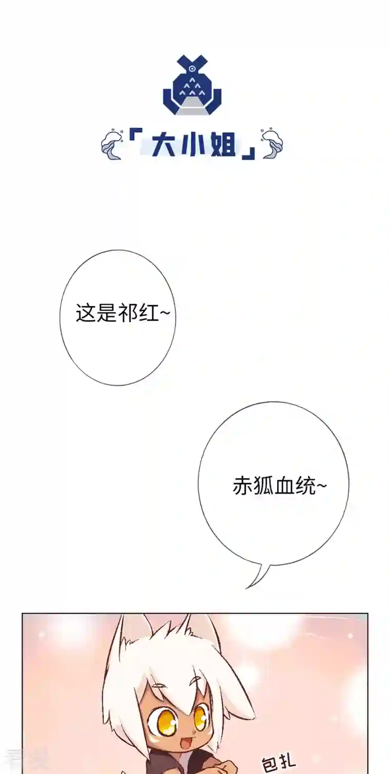 猫之茗第2话 标题党回归