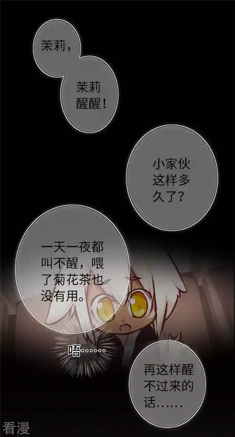 猫之茗第4话 主角总会有点特别的