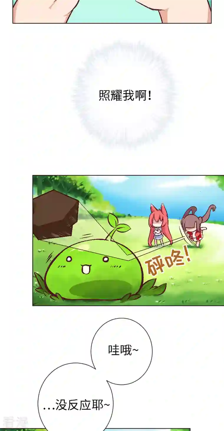 猫之茗第4话 主角总会有点特别的