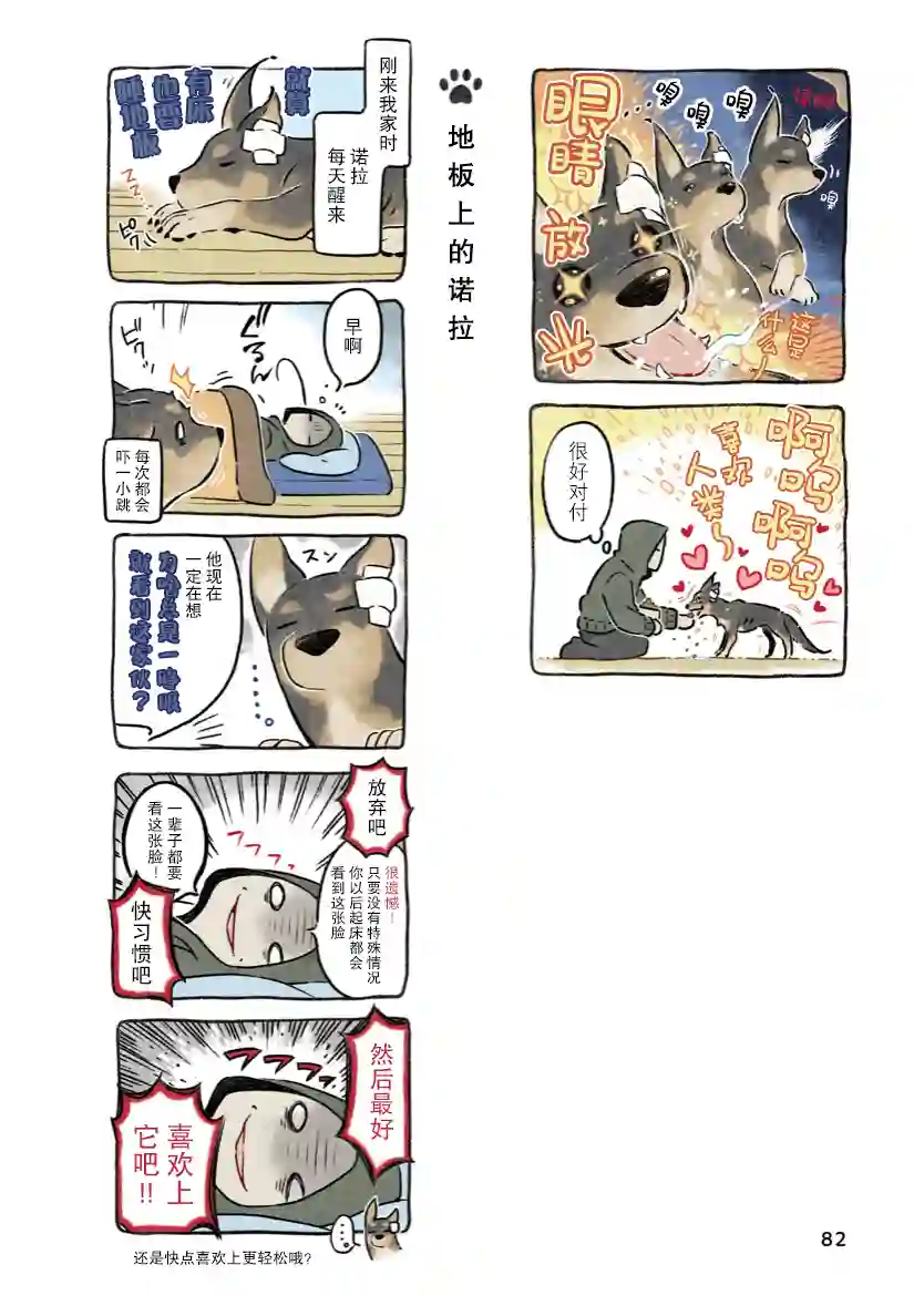 杜比与诺拉 狗狗赐予我的温柔世界第06话