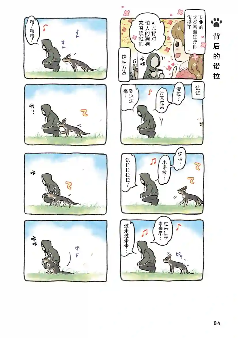 杜比与诺拉 狗狗赐予我的温柔世界第06话