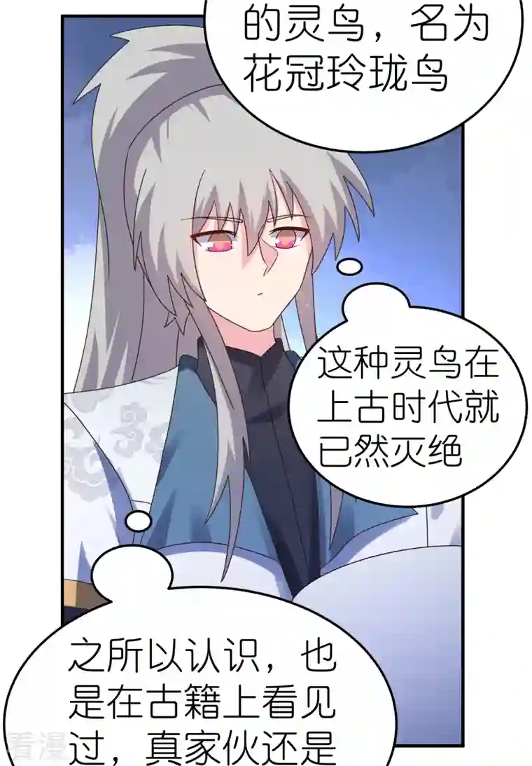 尊上第362话 电云分舵