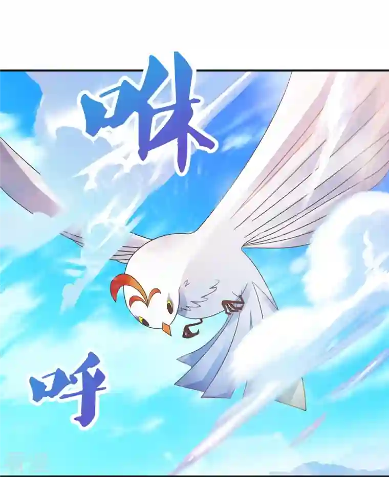 尊上第362话 电云分舵