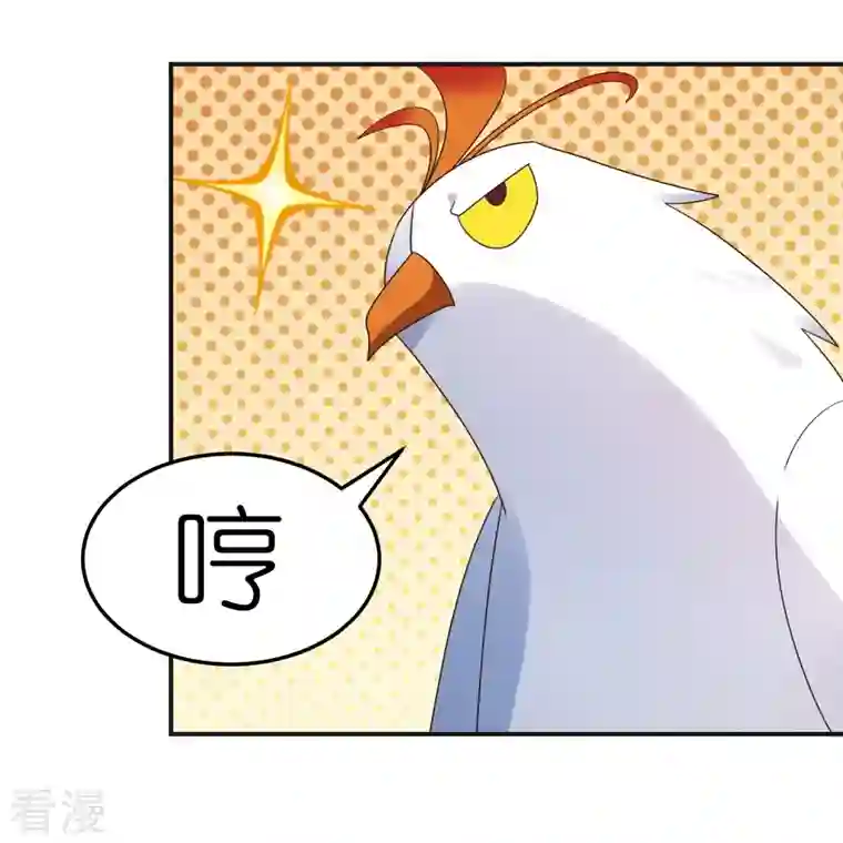 尊上第362话 电云分舵