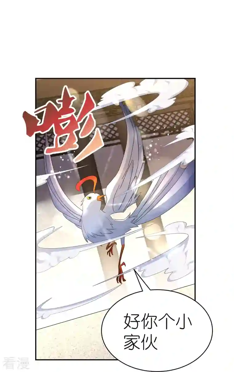 尊上第364话 灵鸟行踪