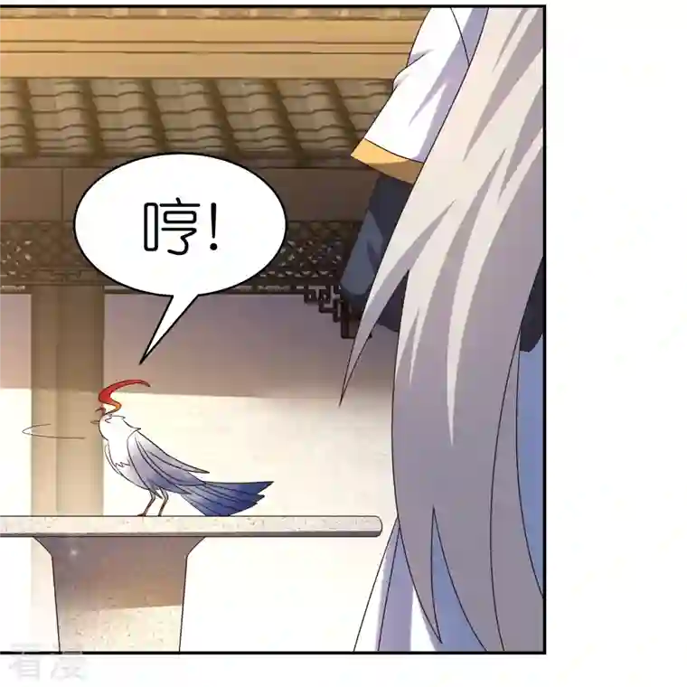 尊上第364话 灵鸟行踪