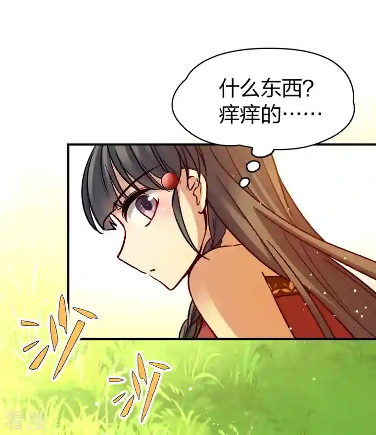 寻找前世之旅第2季第157话 抓蝎子2
