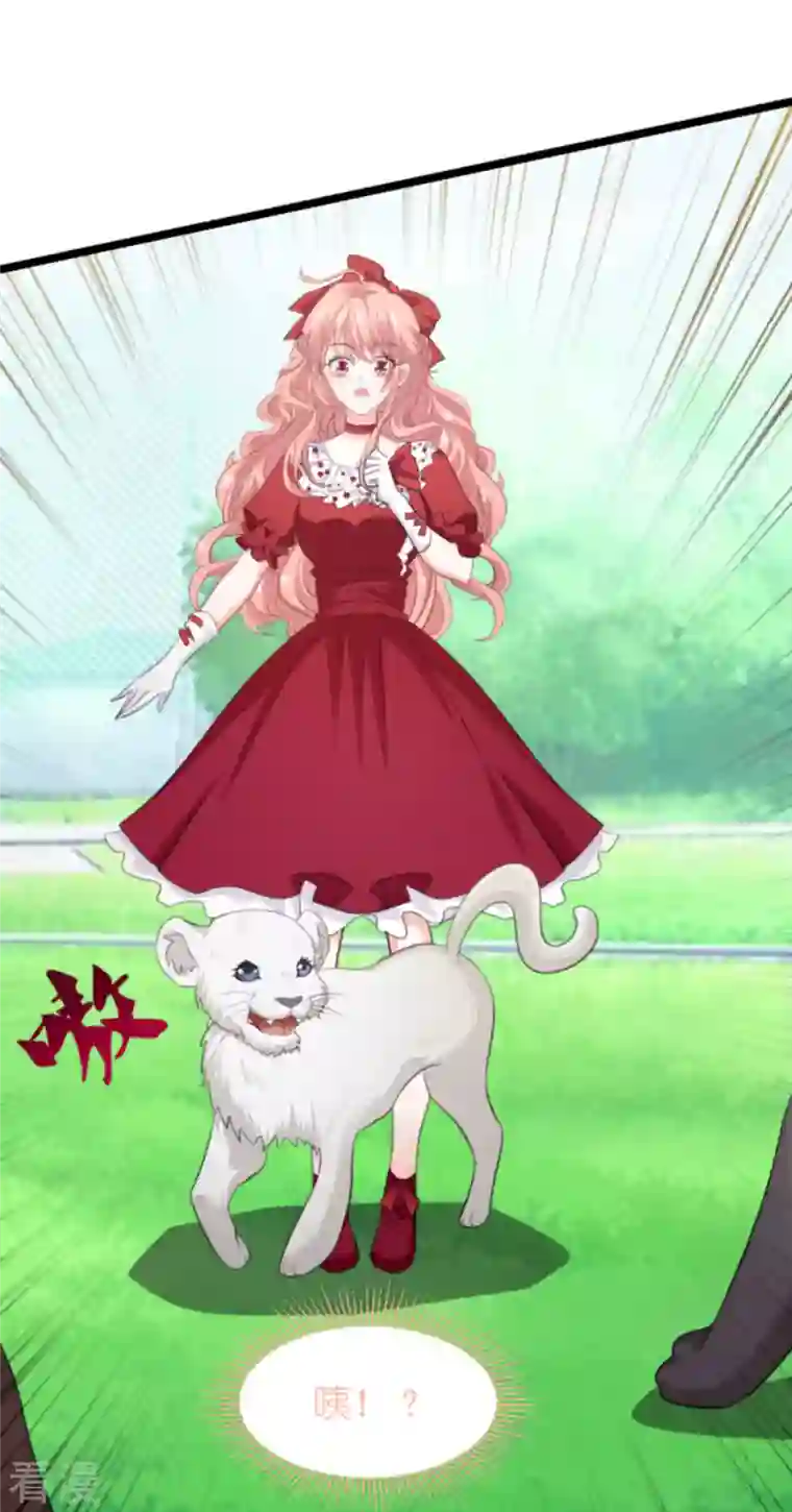 萌宝来袭第207话 英“狮”救美