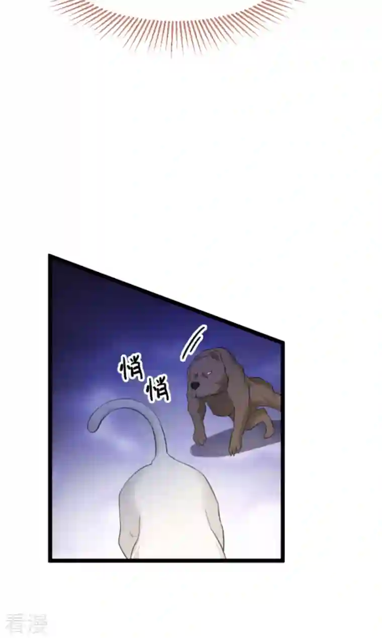 萌宝来袭第207话 英“狮”救美