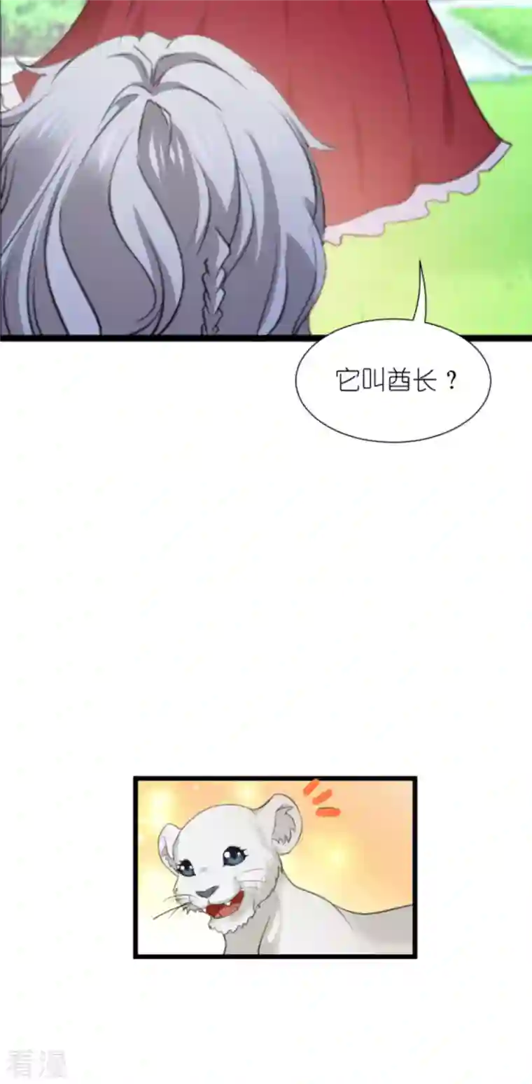 萌宝来袭第207话 英“狮”救美
