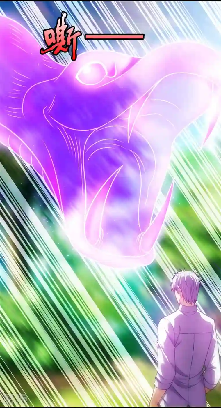 都市之逆天仙尊第290话 白家老祖现身