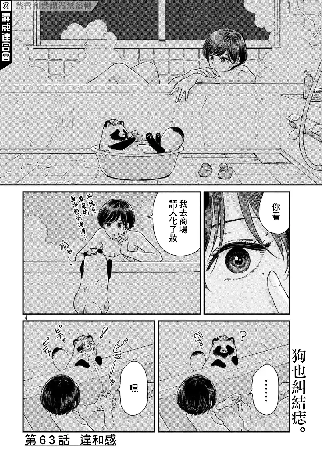 邂逅雨中貉第63话